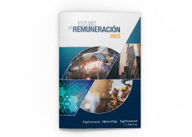 Estudio de Remuneración 2023